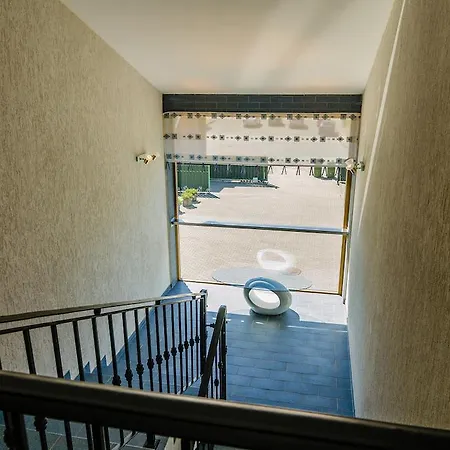 Daire Vilatekila-lili