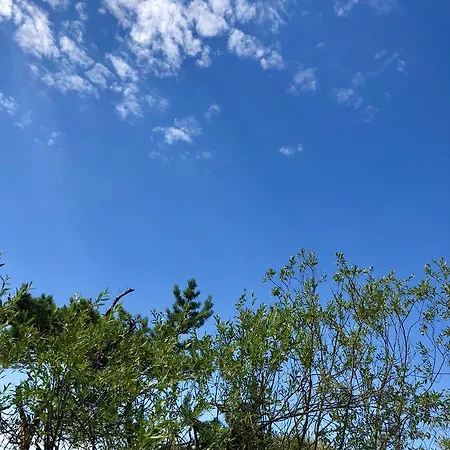 Vilatekila-lili Daire