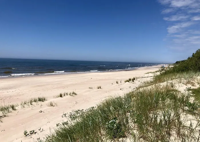 Vilatekila-lili * Palanga