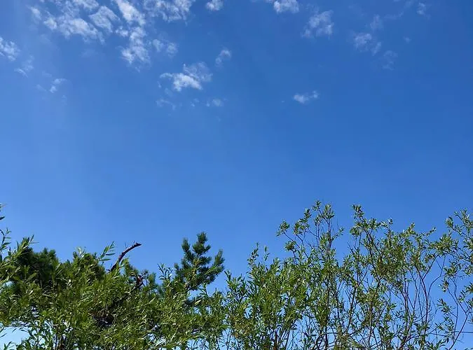 Vilatekila-lili Apartman